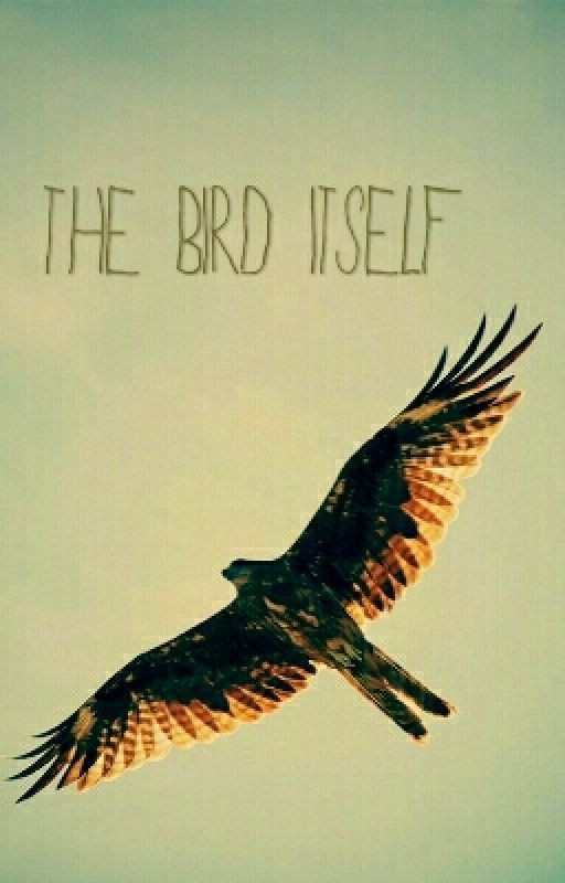 ☆ Птица сама по себе ☆