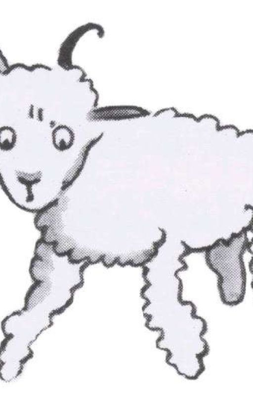 Кудрявый барашек с больной головой