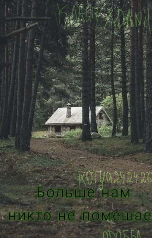 Больше нам никто не помешает