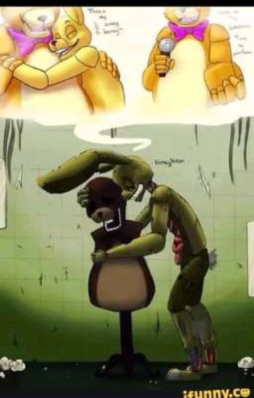 Большой медовый мишка