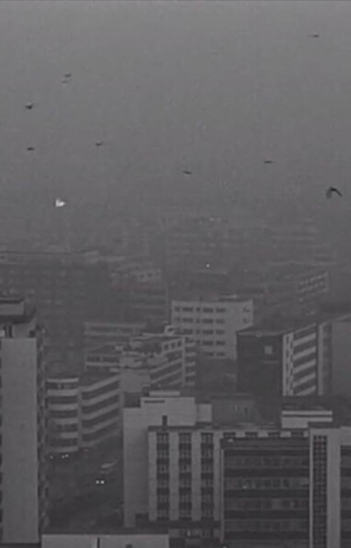 Почему любить Родину - больно?