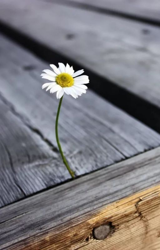 Нам бы любви, да побольше