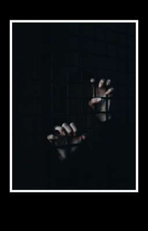 я больше не боюсь