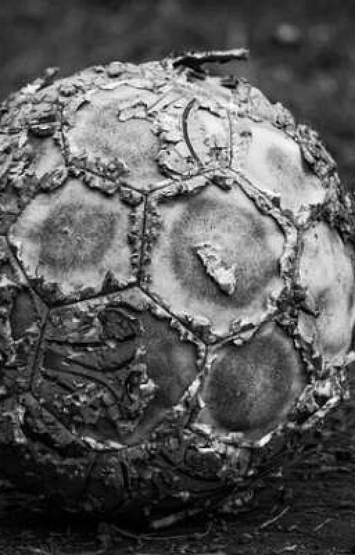 Футбольный мяч