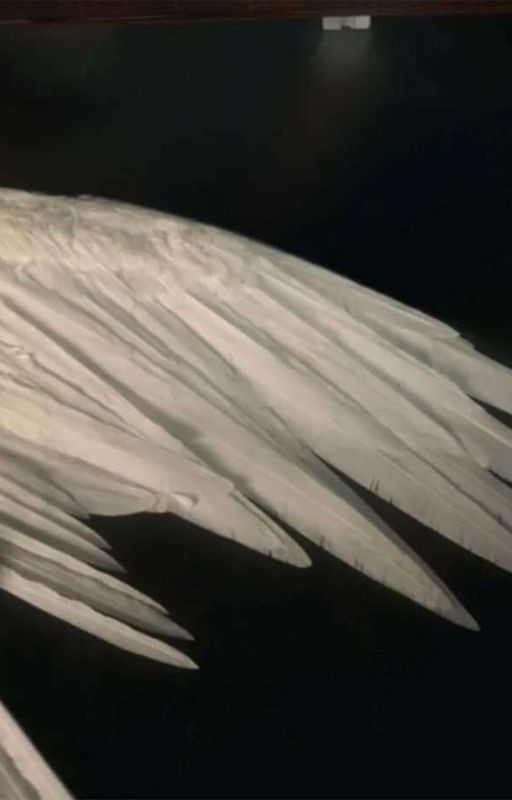 рая больше нет