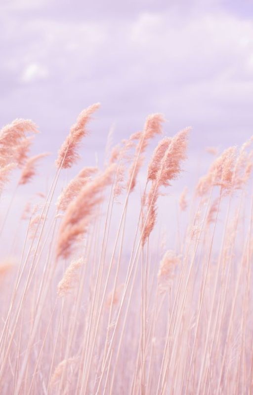 Там, где больше не видно солнца