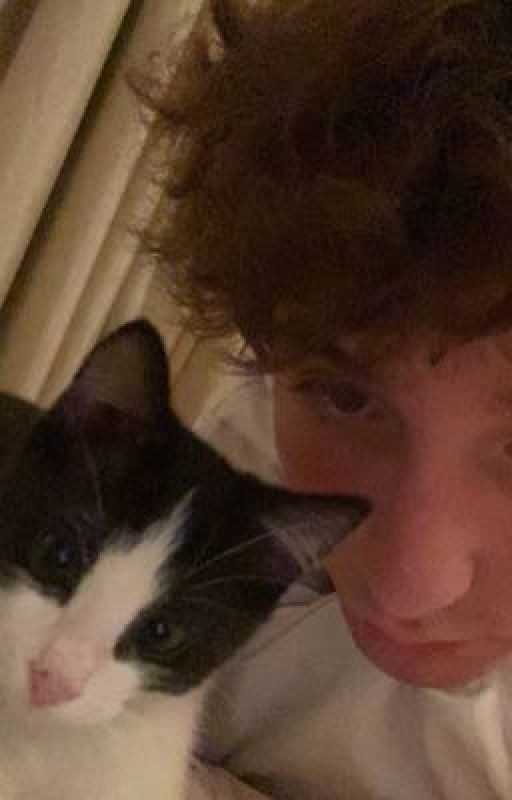 я никогда не испытывал больше нежностей,чем было с ней.|danoneflex