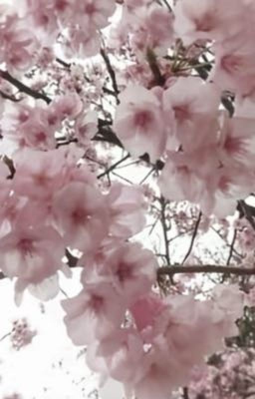 Тоботы,герои большого города