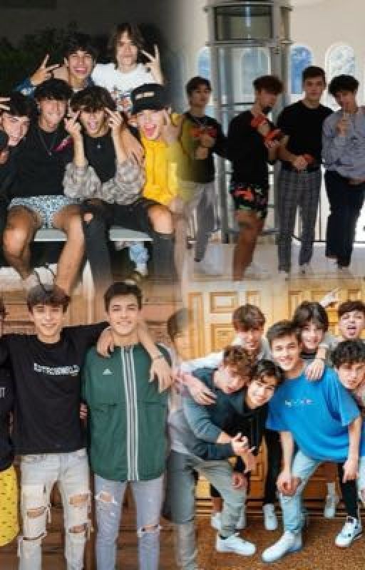 Сводные братья