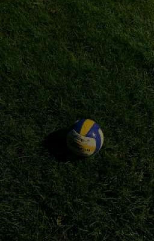 Волейбольная жизнь