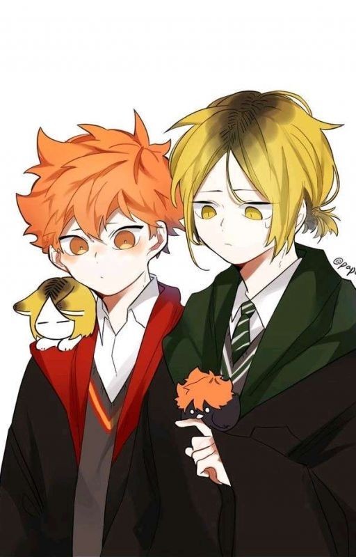 Моя маленькая, но в тоже время большая мечта