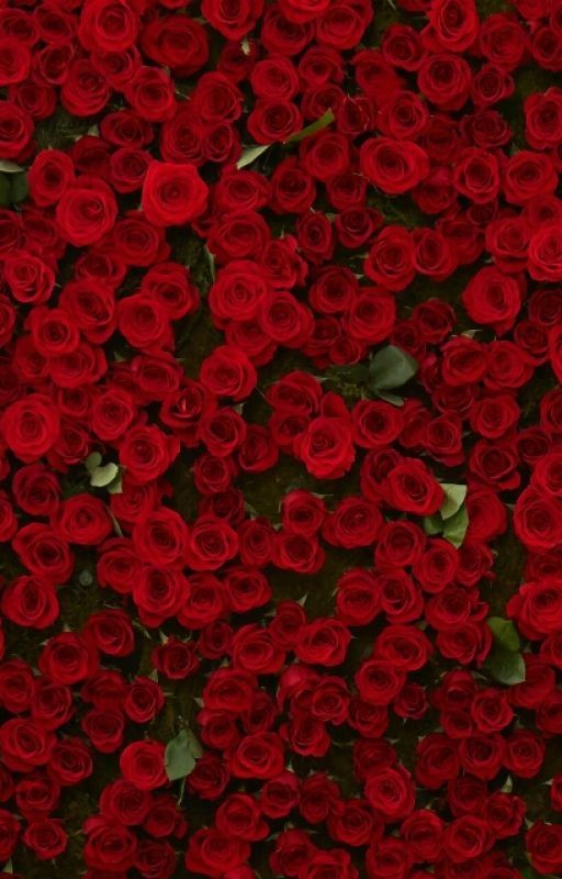 18 Лет Жизни