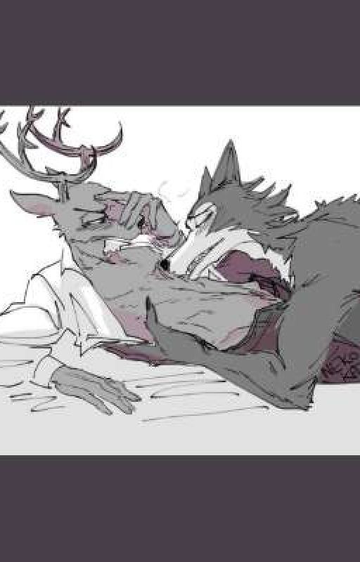 Can't herbivorous and predator be together? (Legosi × Louis)