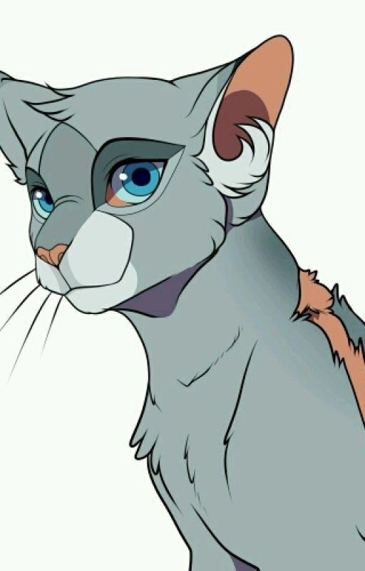 Коты-Воители: Дитя Улицы