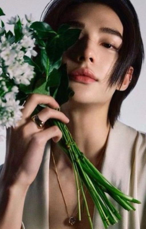 Моя разбитая любовь