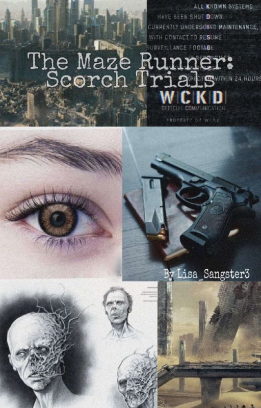 The Maze Runner.New Story 2