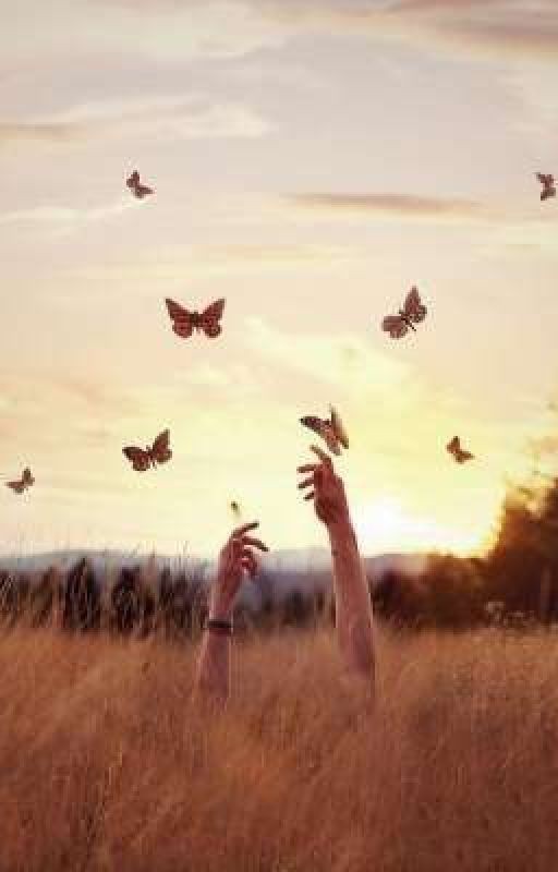 история одного странника который проснулся и перестал спать