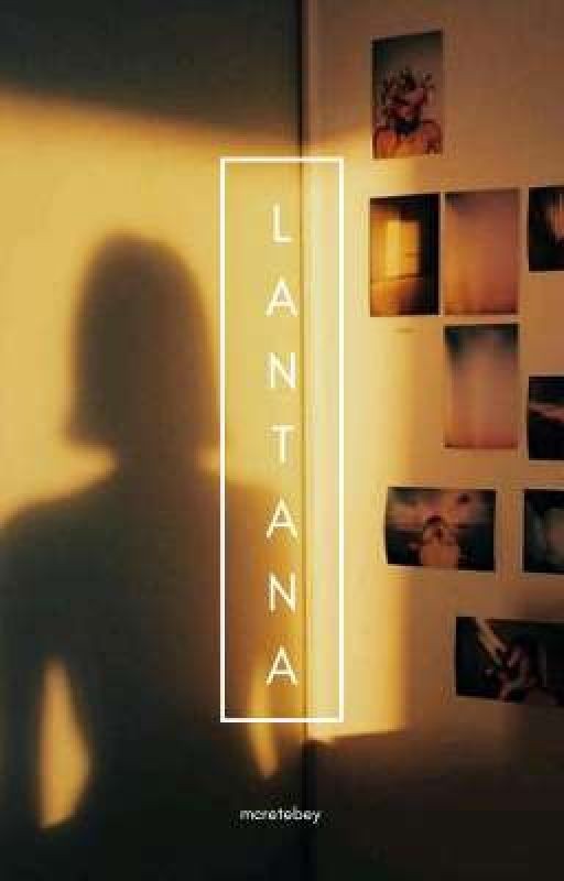 «Lantana» | Pharaoh