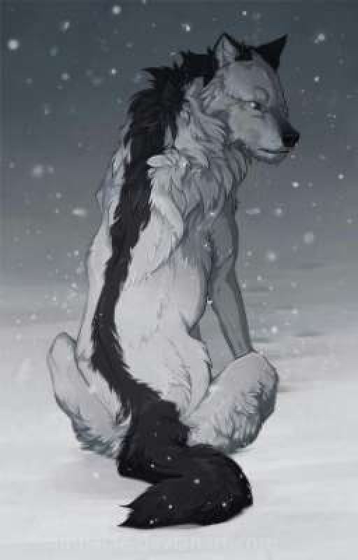 Волчья стая в городе