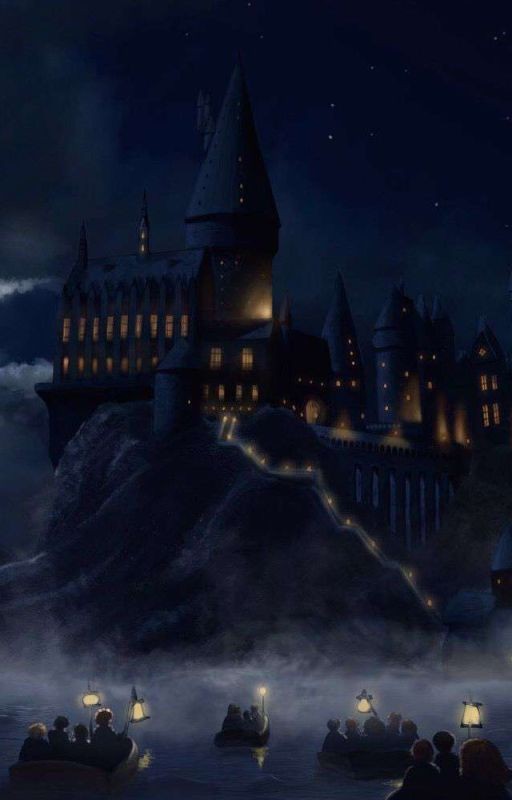 Двойняшка Поттера