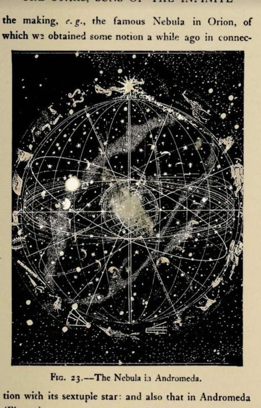 -Наследница Рода Блэк-