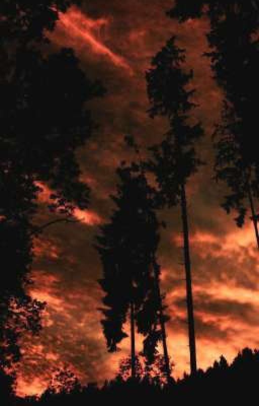 Определëнный ритм. Гарри Поттер