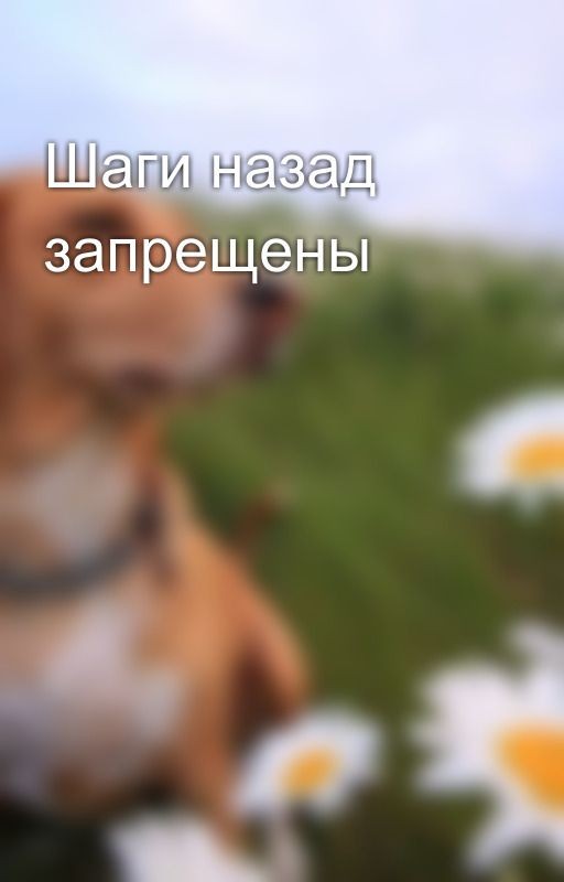 Шаги назад запрещены