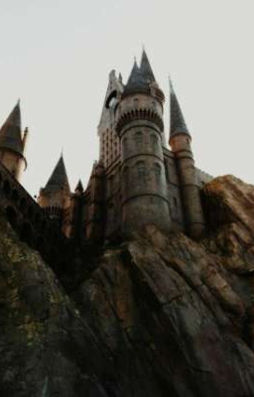 Hogwarts. New story