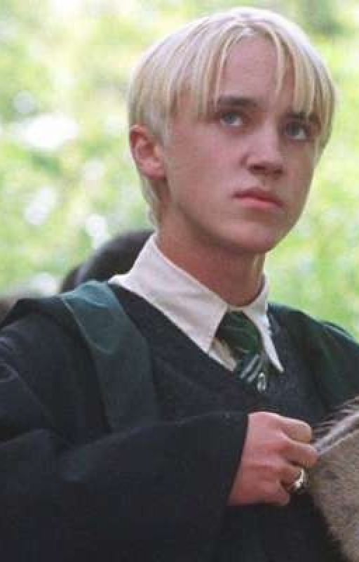 Шивтинг-Ева Янг