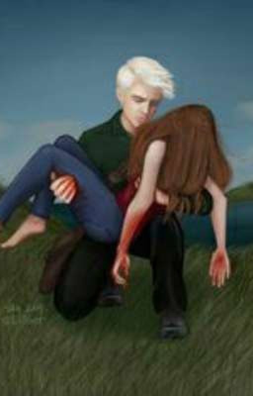 Дневник Грейнжер