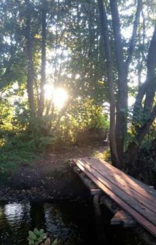 у меня гетерохромия