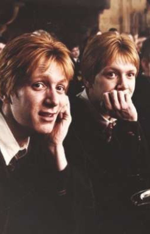 Кого же выбрать?