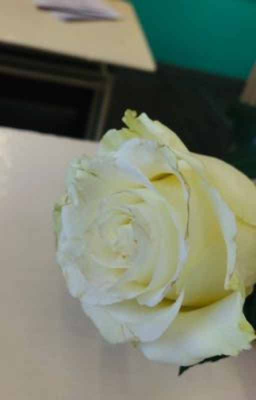 Белые розы-к разлуке🥀