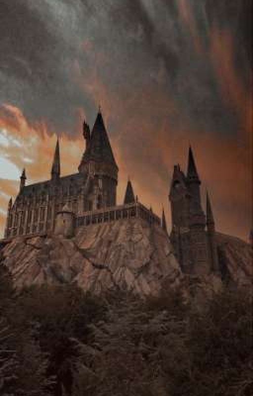 назад в прошлое