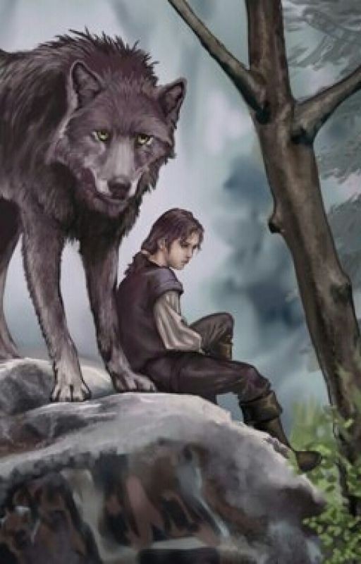 Выбор Волка