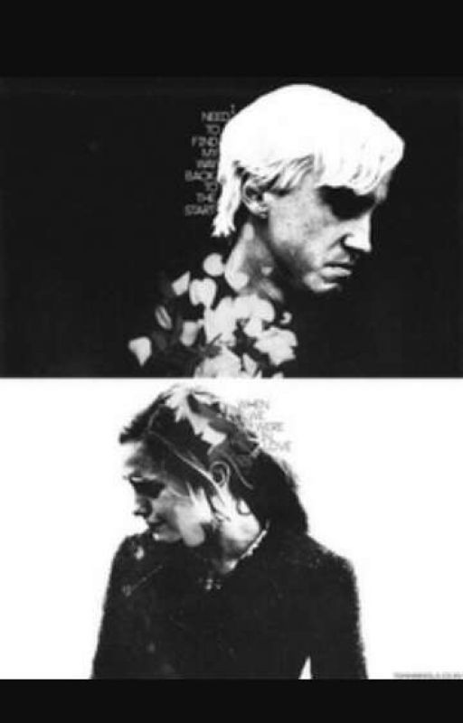 Незнакомец из прошлого