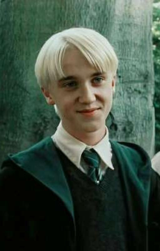 Неожиданная встреча