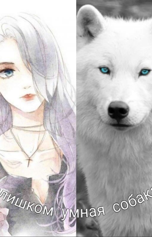 слишком умная Волчица