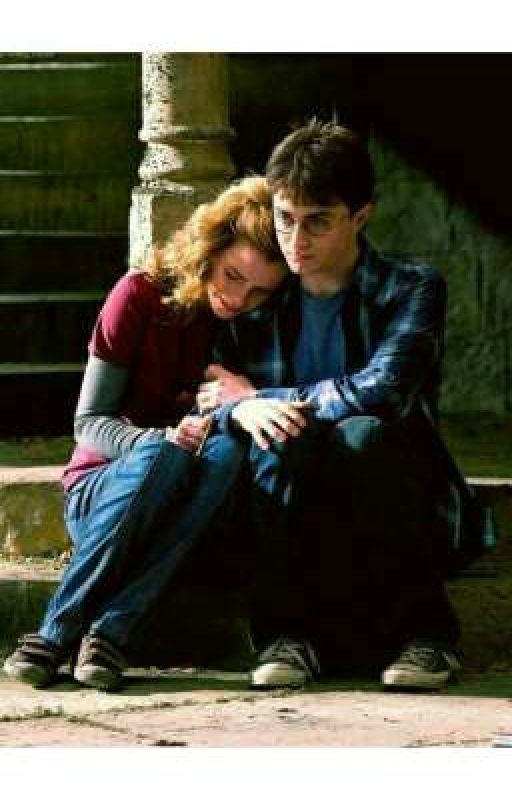 Гармиона. Маленькая история в большой книге