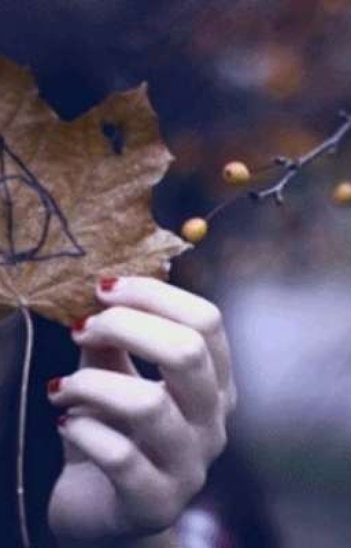 Гарри Поттер если бы в истории была