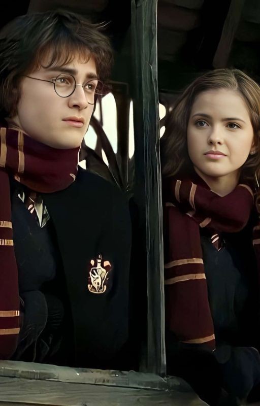 Близнецы Поттеры