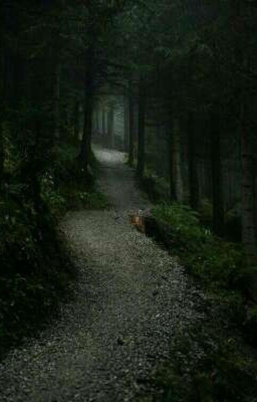 Нездоровая любовь