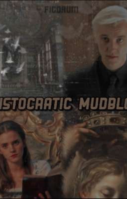 Aristocratic mudblood