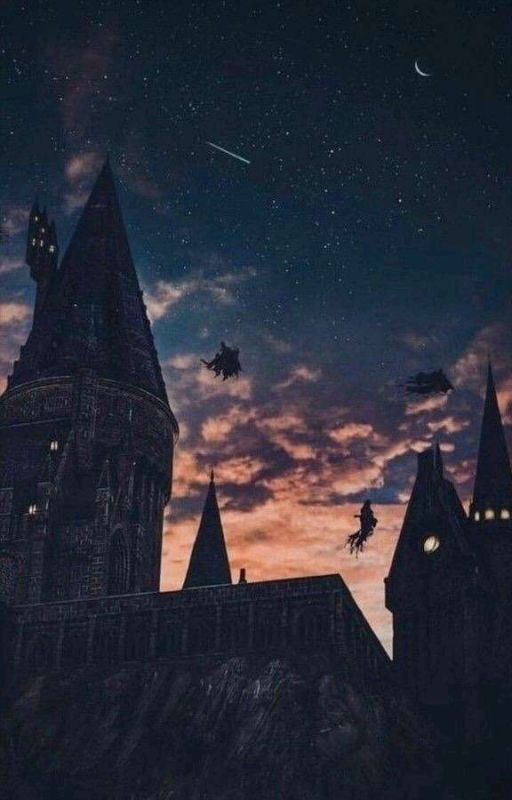 |✨•Вне учёбы•✨|