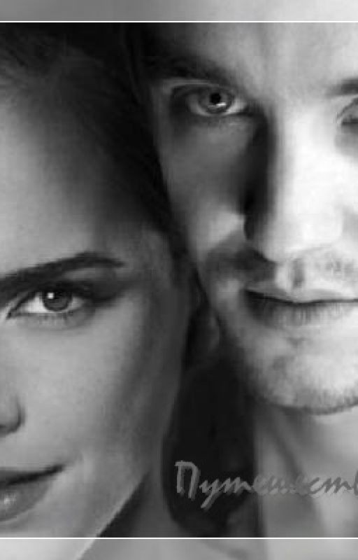 Путешествие домой