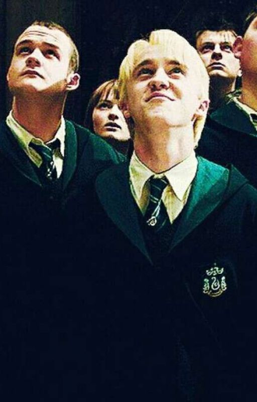 Гриффиндорская заучка и Слизеринский принц