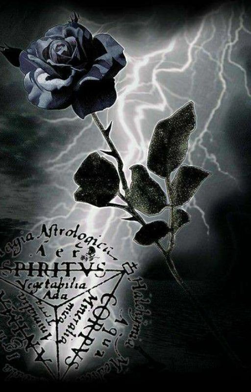 Quest'anno Deve Avere