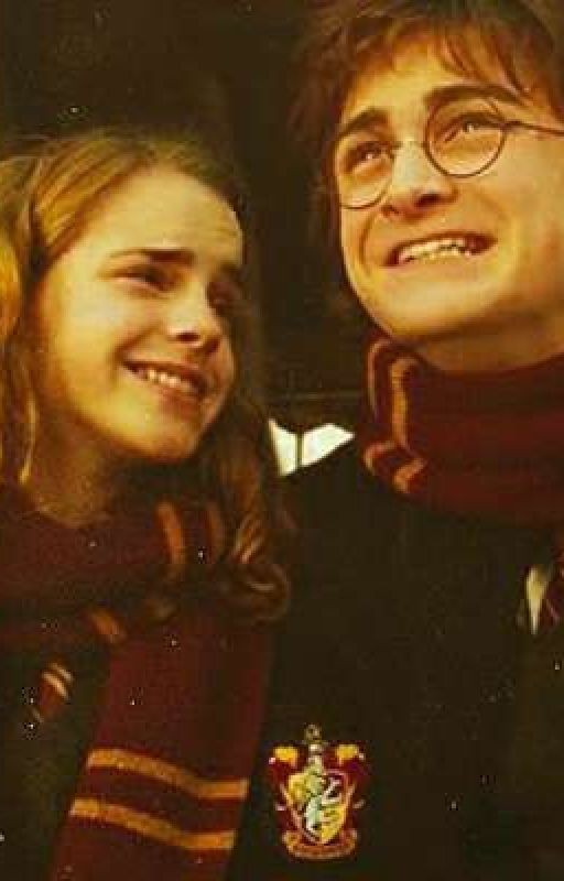 Рыжая преграда