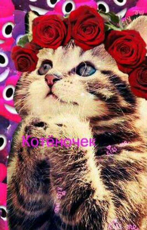 Коты Воители. Жизнь кошки по имени Гермиона