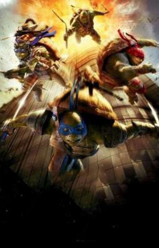 Черепашки-ниндзя 2014